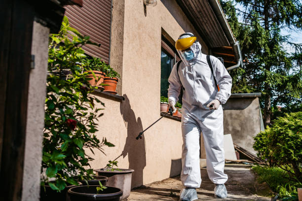 Best Residential Pest Control  in Madelia, MN
