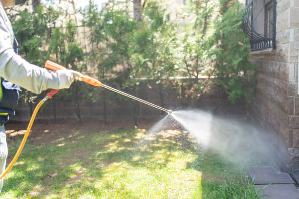 Best Pest Removal Services  in Madelia, MN