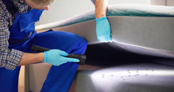 Best Exterminator Services  in Madelia, MN