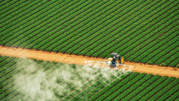 Professional Pest Control in Madelia, MN